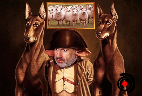 Китайский волкодав